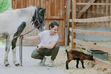 Ein Pony und eine Ziege im Streichelzoo im Familienhotel Ottonenhof im Sauerland.