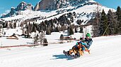 Vater und Sohn rodeln in Südtirol die Piste runter, bevor es wieder ins Familienhotel Engel Gourmet & Spa geht.