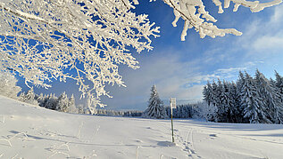 Rhön im Winter. Winterlandschaft "Wasserkuppe" mit Wald-