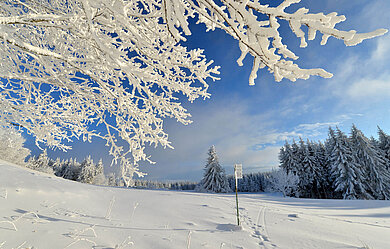 Rhön im Winter. Winterlandschaft "Wasserkuppe" mit Wald-