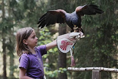 Mädchen hat einen Adler auf dem Arm im Familienurlaub im Familienhotel Tirolerhof