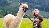 Zwei Kinder spazieren mit einem Lama in der Natur im Familienurlaub im Familienhotel Petschnighof in Kärnten.