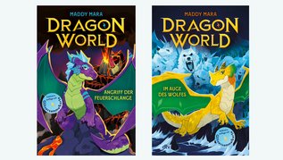 Kinderbücher ab 8 Jahren Dragon World