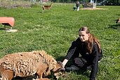 Mädchen streichelt die Tiere auf der Wiese des Familienhotels Der Böhmerwald.