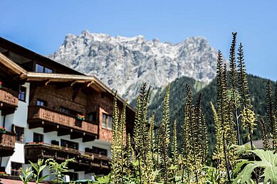 Hotelansicht im Sommer vom Familienhotel Hotel Tirolerhof an der Zugspitze.