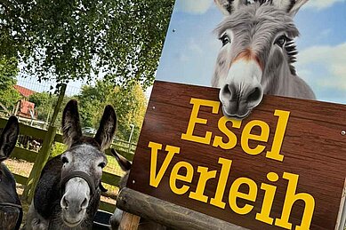 Esel Verleih im Bernsteinreiter Schlossresort