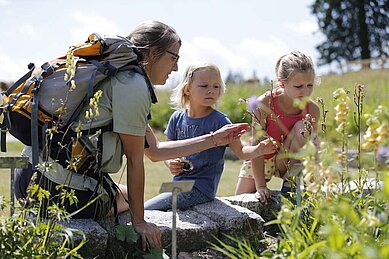 Zwei Kinder bei einer betreuten Wanderung mit einer Rangerin nahe des Familienhotels Feldberger Hof.