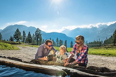 Wandern in der Region Zauchenseehof