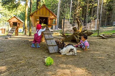 Zwei Kinder mit Hasen im Streichelzoo im großen Außengehege im Familienhotel Ulrichshof im Bayerischen Wald