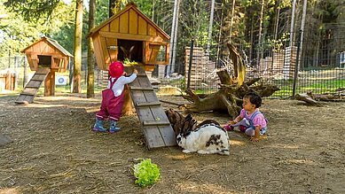 Zwei Kinder mit Hasen im Streichelzoo im großen Außengehege im Familienhotel Ulrichshof im Bayerischen Wald