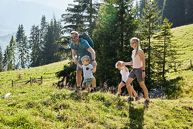 Wandern im Salzburger Land: Familie wandert auf dem Goldegg mit dem Ziel einer kleinen Pause in der Meiselsteinalm.