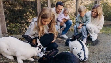 Kind streichelt Kaninchen im Streichelzoo vom Familienhotel Habachklause Salzburger Land, während die Familie zuschaut.