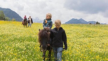 Geführtes Ponyreiten in den Bergen im Familienhotel Alphotel im Allgäu.