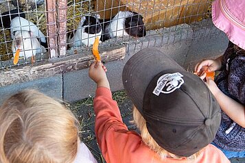 Kinder füttern die Hasen im Kleintierbereich des Familienhotels Landhuus Laurenz.