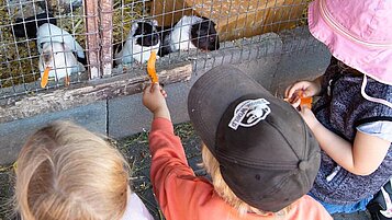 Kinder füttern die Hasen im Kleintierbereich des Familienhotels Landhuus Laurenz.