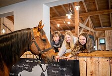 Drei Teenager im neuen Begegnungsstall mit Pferden im Landhaus zur Ohe im Bayerischen Wald.