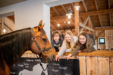 Drei Teenager im neuen Begegnungsstall mit Pferden im Landhaus zur Ohe im Bayerischen Wald.