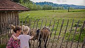 Mutter und Tochter streicheln die Ziegen im Streichelzoo im Familienhotel Schreinerhof im Bayerischen Wald.