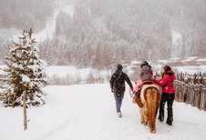 Ponyreiten im Schnee rund um das Familienhotel Huber in Südtirol