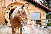 Das kleine Mädchen streichelt das Pferd vor dem Aktiv Stall des Familienhotels Landhaus zur Ohe im Bayerischen Wald.