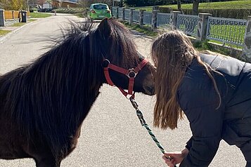 Ein Mädchen geht mit einem Pony des Familienhotels Der Böhmerwald an der Leine spazieren.