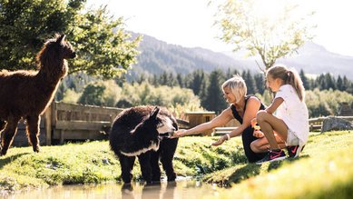 Frau und Mädchen füttern gemeinsam ein flauschiges Lama am Wasserlauf inmitten der Natur rund um das Alpura Retreat mit Blick auf bewaldete Hügel.