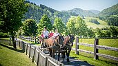 Eine Familie bei einer gemütlichen Pferdekutschenfahrt in der Umgebung des Landgut Furtherwirt in Tirol.