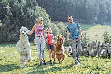 Familie mit Kind bei einer Alpakawanderung durch die Natur.