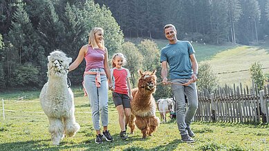 Familie mit Kind bei einer Alpakawanderung durch die Natur.