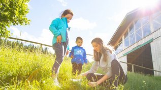 Zwei Kinder entdecken gemeinsam mit einer Kinderbetreuerin die Natur rund um das Familienhotel Der Ponyhof in der Steiermark.