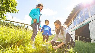 Zwei Kinder entdecken gemeinsam mit einer Kinderbetreuerin die Natur rund um das Familienhotel Der Ponyhof in der Steiermark.