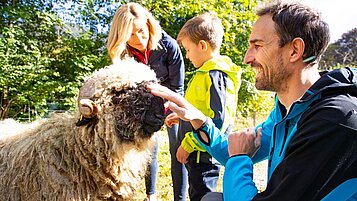 Bauernhoftiere am Familienhotel Das Bayrischzell können gestreichelt werden