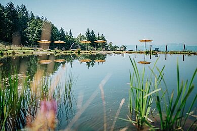 Natur-Badesee mit Liegen rund herum auf dem Außengelände vom Familien Resort Petschnighof