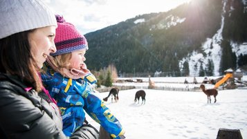 Mutter steht mit ihrer Tochter auf dem Arm im winterlichen Hotelpark im Alphotel Tyrol und beobachtet die Tiere