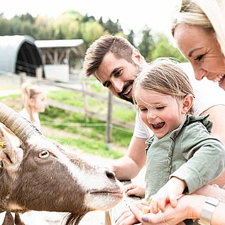 Tierischer Familienurlaub: Familie füttert Ziege, Mädchen lacht.