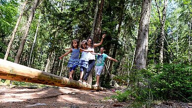 Eine Familie balanciert über einen Baumstamm im Wald im Familienhotel Ulrichshof im Bayerischen Wald