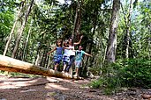 Eine Familie balanciert über einen Baumstamm im Wald im Familienhotel Ulrichshof im Bayerischen Wald