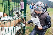 Kleiner Junge füttert Ziegen im Kleintiergehege des Familienhotels Kirchheimerhof in Kärnten.