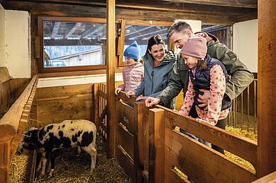 Eine Familie schaut im Kleintierbereich in das Gehege einer Ziege im Alpenhotel Kindl in Tirol