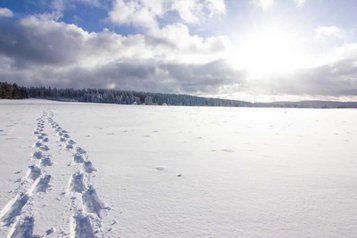 Winterlandschaft im Thüringer Wald im Familienhotel Am Rennsteig.