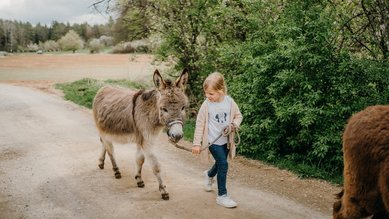 Ein Mädchen führt einen Esel entlang eines Waldwegs rund ums Familienhotel Friedrichshof.