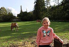 Ein Mädchen sitzt auf dem Zaun und im Hintergrund laufen die Pferde auf der Wiese im Familienhotel Monikas Ferienhof.