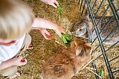 Kleine Kinder füttern die Hasen im Kleintiergehege im familienhotel Landhaus zur Ohe im Bayerischen Wald.