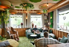 Gemütlicher Lounge-Bereich im Familienhotel Rhön Feeling mit Naturdeko, grünem Teppich und großen Fensterfronten zum Entspannen für Erwachsene.
