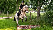 Frau beim Springreiten mit dem Pferd auf dem Außengelänge vom Landhuus Laurenz.