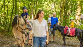 Zwei Kinder lernen auf Pferden das Reiten in Begleitung der Eltern.