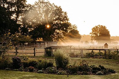 Der Reitplatz des Familienhotels Landhaus Averbeck in der Lüneburger Heide bei morgendlicher Dämmerung.