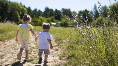 Ein Junge und ein Mädchen spazieren durch den Sand, umgeben von grüner Wiese, auf der Außenanlage des Familienhotels Friedrichshof.