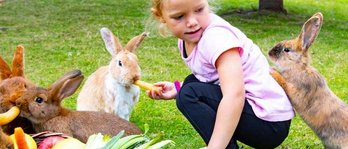 Zwei Kinder sitzen mit einem Gemüsekorb im Hasengehege und füttern die Tiere im Familienhotel Alphotel Tyrol Wellness & Family Resort in Südtirol.