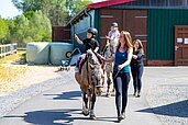 Geführtes Ponyreiten im Familienhotel Gut Landegge im Emsland